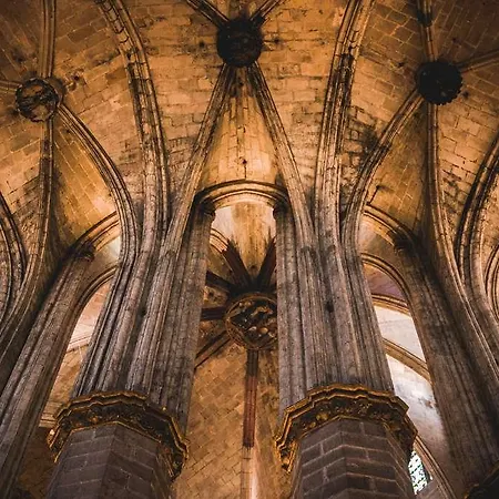 The Originals City, Continental, فندق 2*